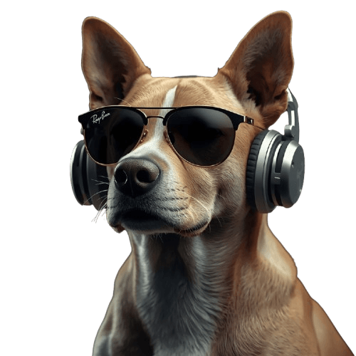 pet home sistema pet shop